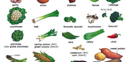 health benefits and food value of vegetables