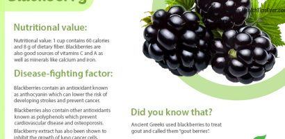 Blackberries nutrition value with infographics