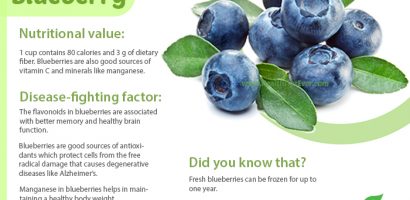 Blueberry fruit card - nutritional value with infographics