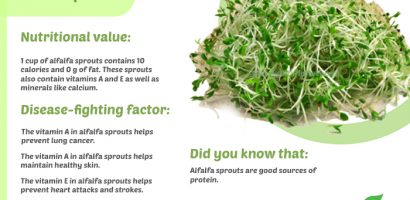 Alfalfa sprouts infographic