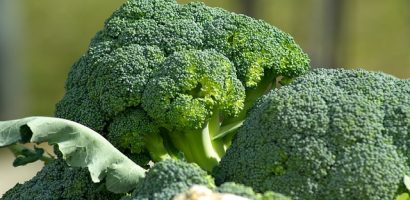 Broccoli helps cleansing colon