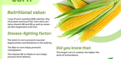Corn infographic