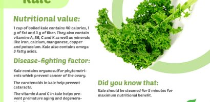 Kale vegetable infographic