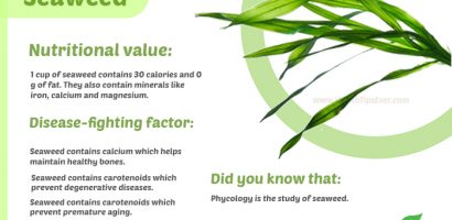 Seaweed nutritional value