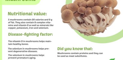 Musroom nutrition value infographic